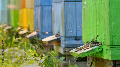 Closeup of colorful beehives in summer garden, Poland