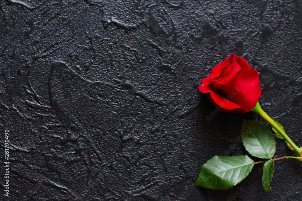Red rose on a black background, stone. A condolence card. Empty space for emotional, quotes or sayings. The view from the top. Red rose on a black background, stone. A condolence card. Empty space for emotional, quotes or sayings. The view from the top.