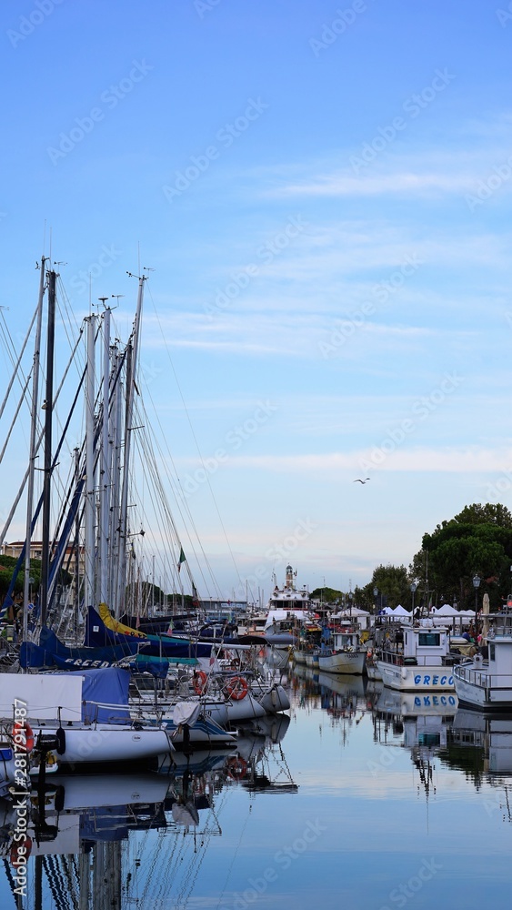 yachts in harbor under flying sea gull