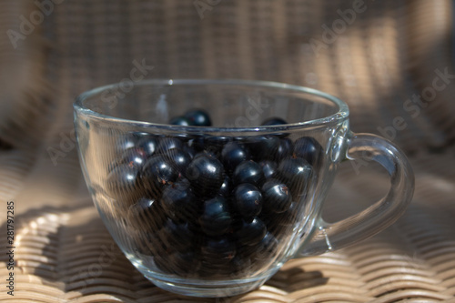 Black currant close-up in a transparent cup. There is a place for text, copy space. Background, banner, postcard.