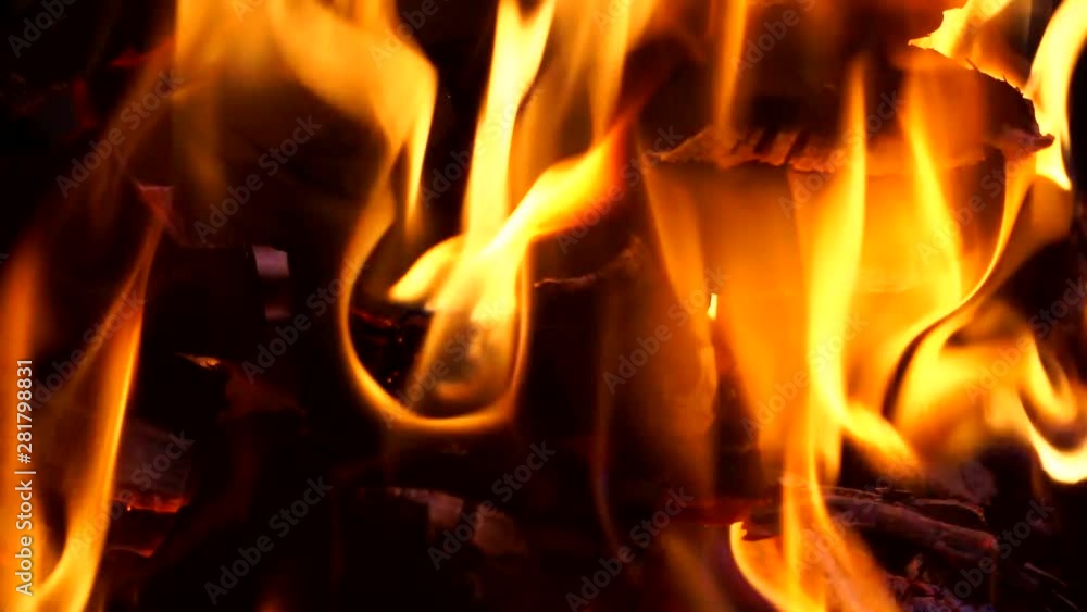 Flames of fire close-up. Bonfire, coal.