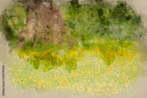 Digital watercolour painting of Beautiful landscape image of meadow of Spring buttercups
