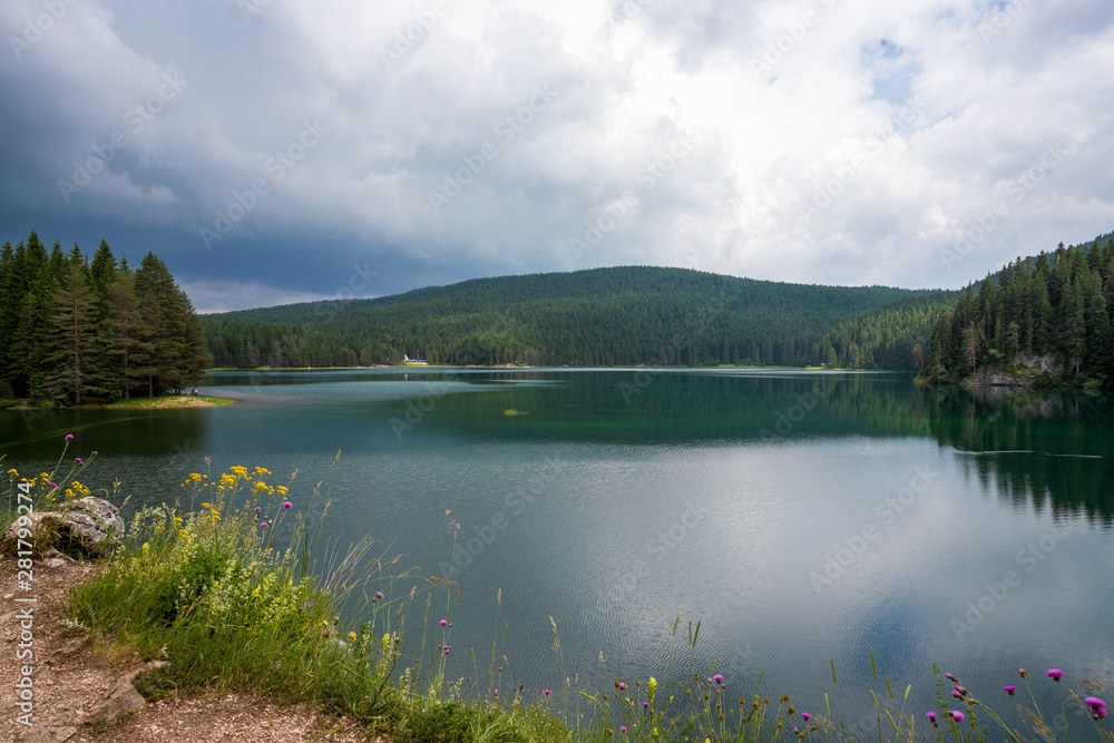 Wonderful view of Black Lake and fir forest with wild flowers in Durmitor park, Montenegro