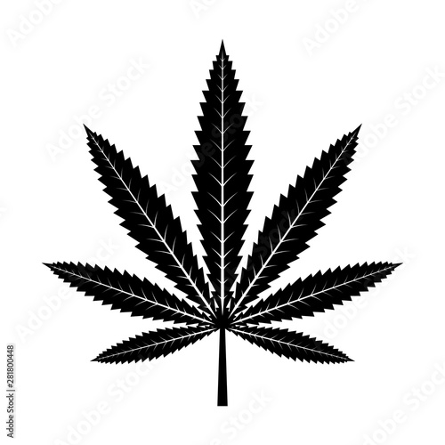 Marijuana, Cannabis leaf icon on white background 