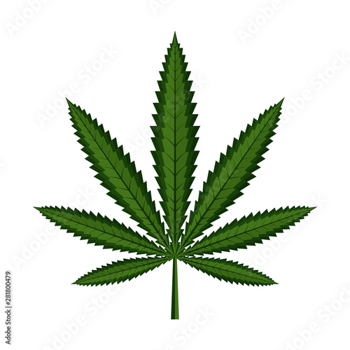 Marijuana, Cannabis leaf icon on white background