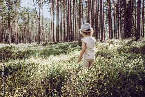 Fototapeta Naklejka Na Ścianę i Meble -  Conceptual image of blonde three year old child lost in lush wild pine tree forest concept. Went berry and mushroom picking and got lost.