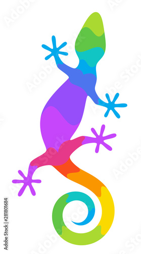 lizard 