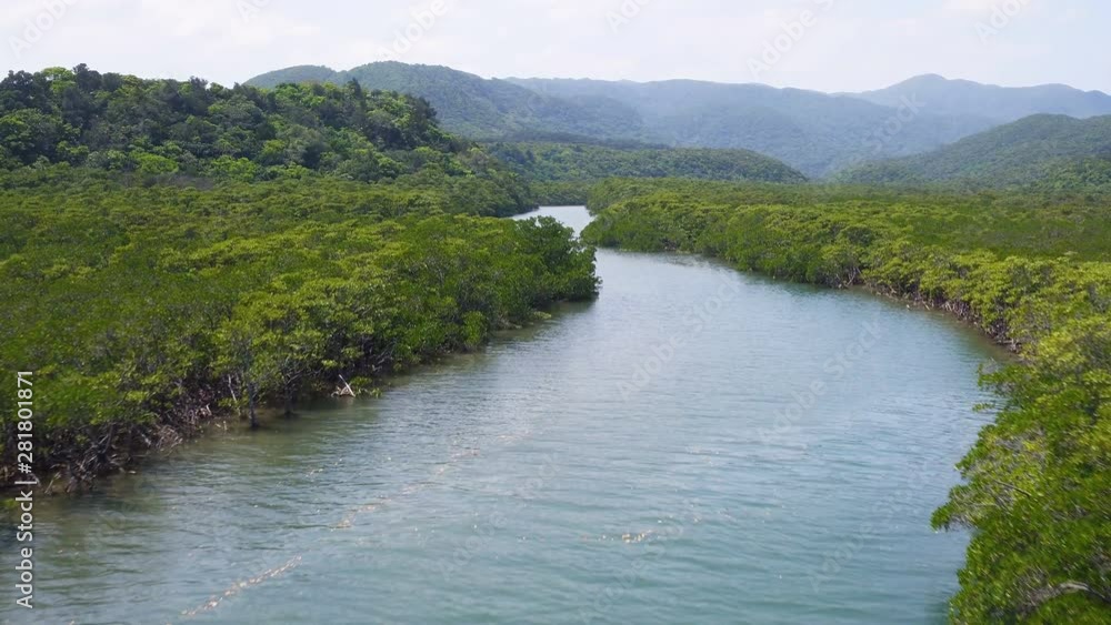 Aerial view of river and forest, Iriomote Island, Okinawa Prefecture Aerial view of river and forest, Iriomote Island, Okinawa Prefecture