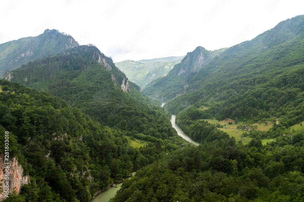 Naklejka premium The amazing landscape of the Tara canyon and Tara River in northern Montenegro, Zabljak