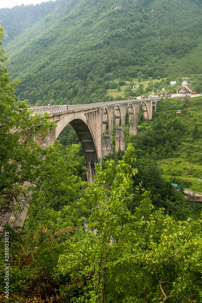 vertical view of Famous Durdevica Tara Bridge over the Tara River in northern Montenegro, Zabljak