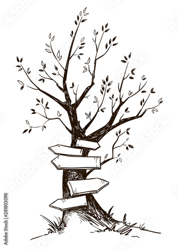 tree with wooden signs on white background