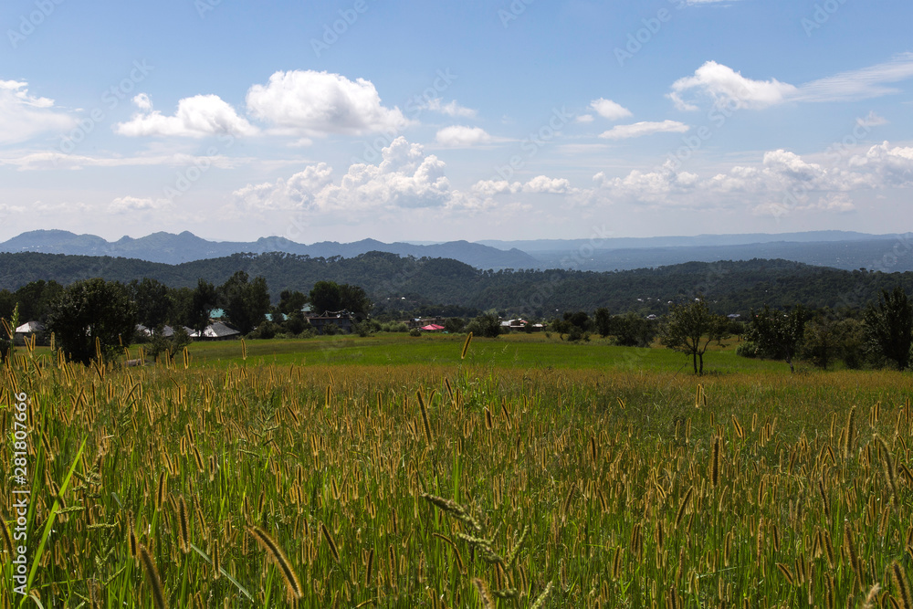 Countryside Countryside