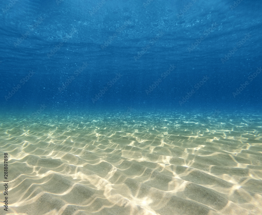 Underwater background with ocean water. At the bottom of the sea. Underwater background with ocean water. At the bottom of the sea.