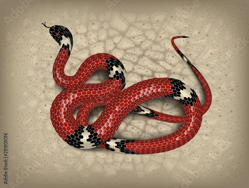 Red snake adder against the background of sand and stones. Vector illustration.