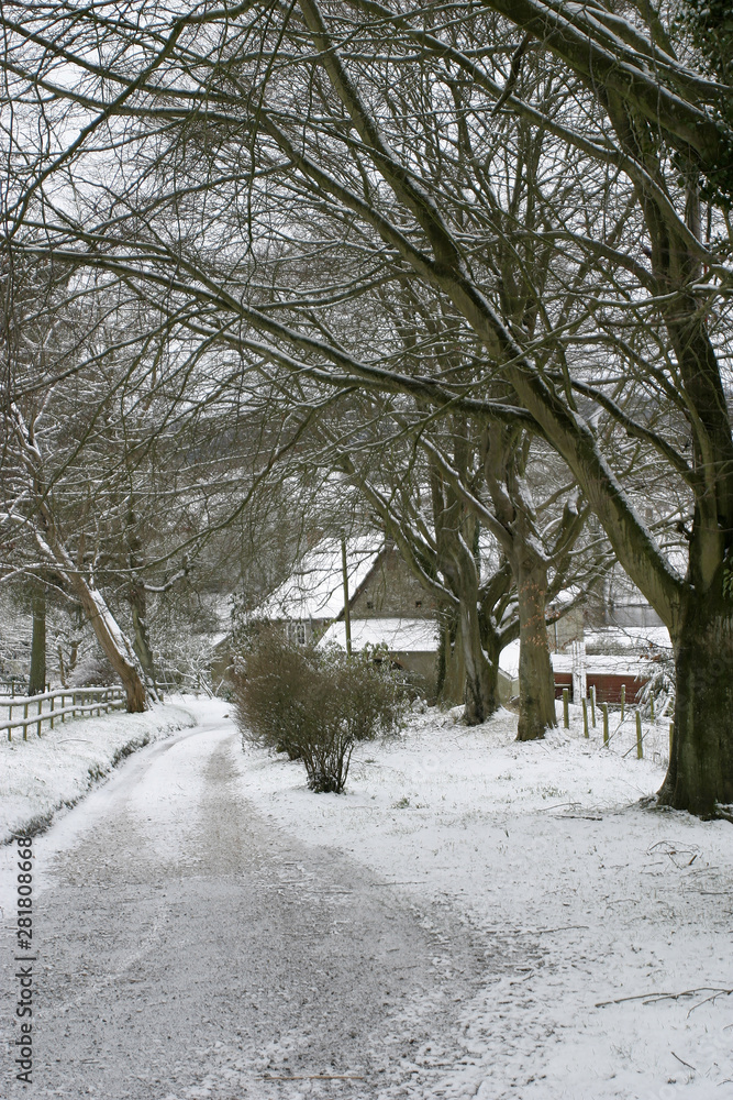 Naklejka premium Zimowa scena w Wiltshire, The Deverilles.