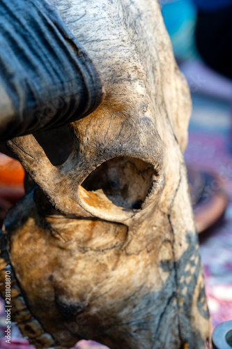 A skull for sell at street market in Thailand. Close up © OlegD