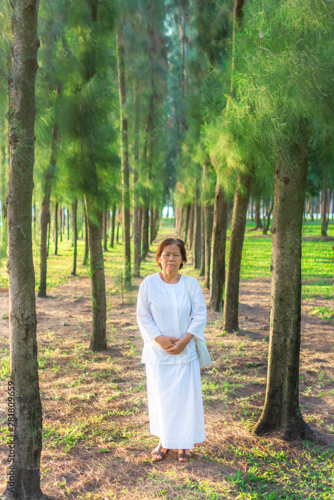 Grandmother lives by the eight Buddhist Precepts. Senior woman doing good things to create positive karma for herself. Grandma is moral person. Granny is wearing white dress at garden in the morning. Grandmother lives by the eight Buddhist Precepts. Senior woman doing good things to create positive karma for herself. Grandma is moral person. Granny is wearing white dress at garden in the morning.