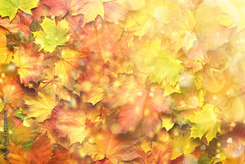Colorful autumn leaves background with copy space. Cozy fall mood. Season and weather concept  light bokeh