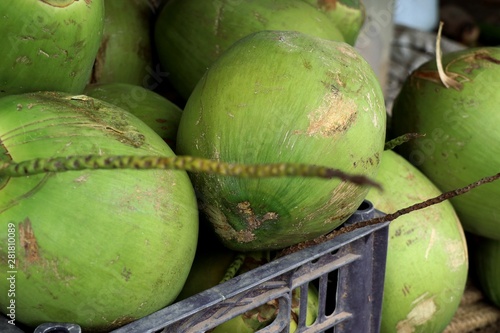 Fresh coconut at street food