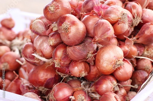Red shallots at the market