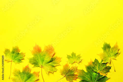 Golden autumn concept. Colorful leaves on yellow background with copy space. Cozy fall mood. Season and weather concept.