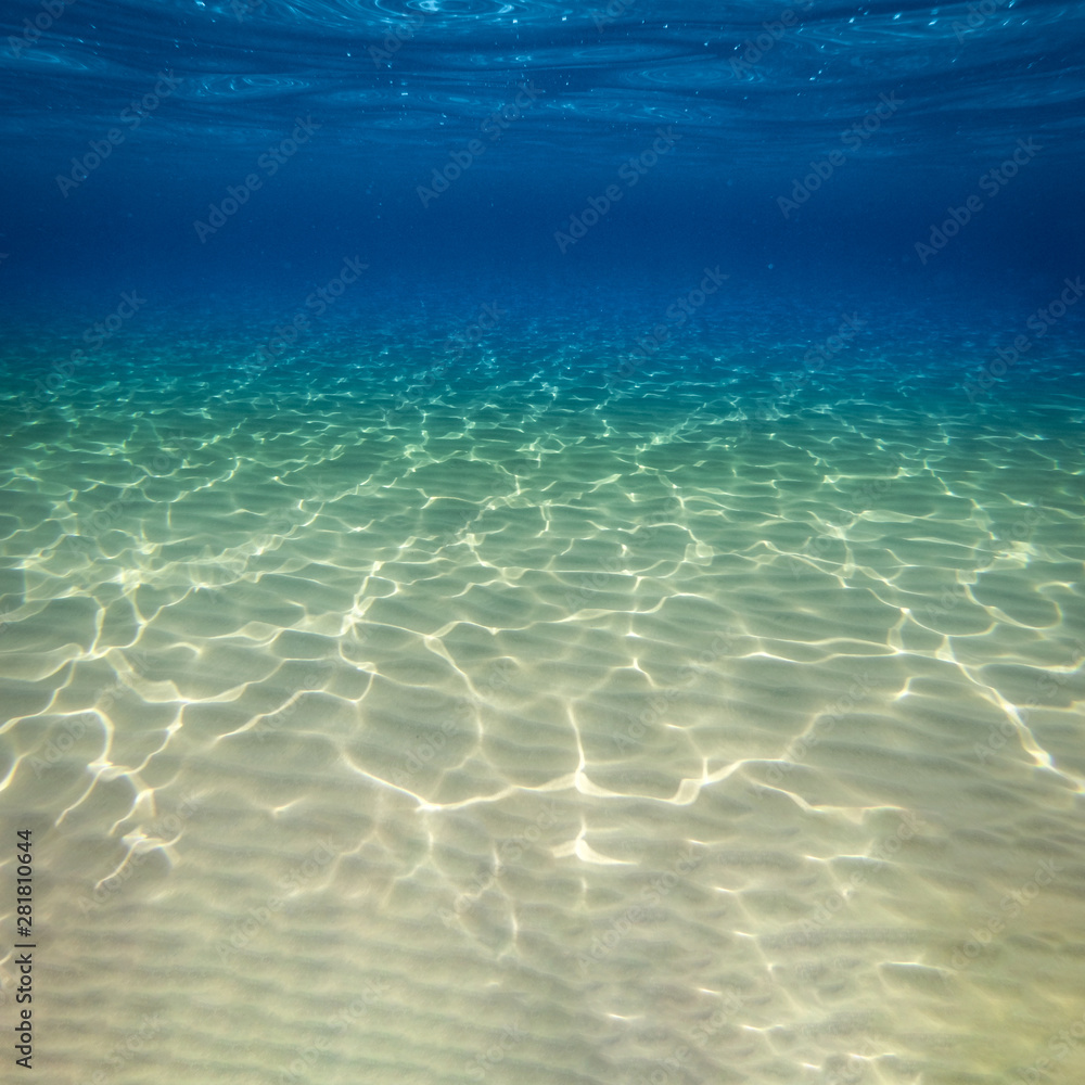 Underwater background with ocean water. At the bottom of the sea. Underwater background with ocean water. At the bottom of the sea.