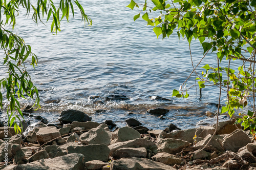 stones and plants by the river in summer sunset