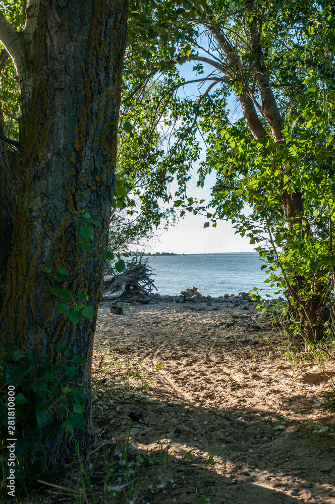 river, beach and trees on a summer evening