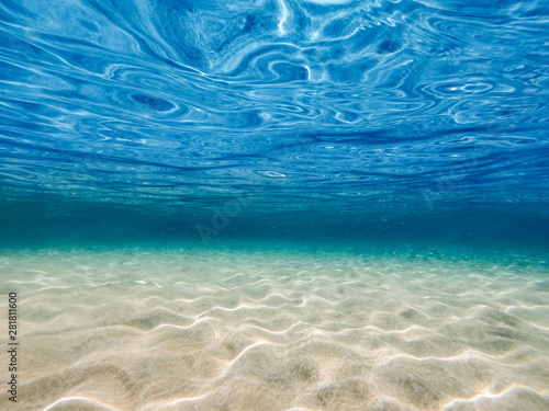 Underwater background with ocean water. At the bottom of the sea.
