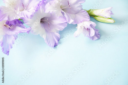 Flat lay composition with delicate light purple gladiolus with copy space on a blue background. Closeup of purple gladiolus flowers  Space for text.