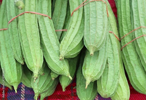 fresh luffa in the market