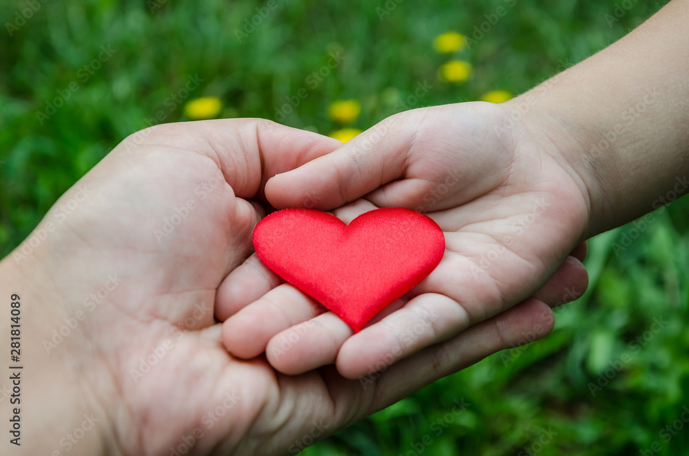 small, red heart in palms on a beautiful, green background. Heart in children's hands. small, red heart in palms on a beautiful, green background. Heart in children's hands.