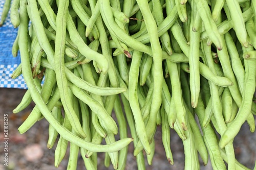 Fresh long beans at market