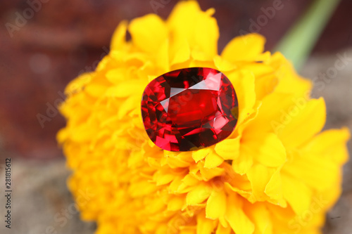 Art and Decoration Gemstone RED RUBY