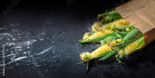 Sweet corn on the cob is in a paper bag on dark background