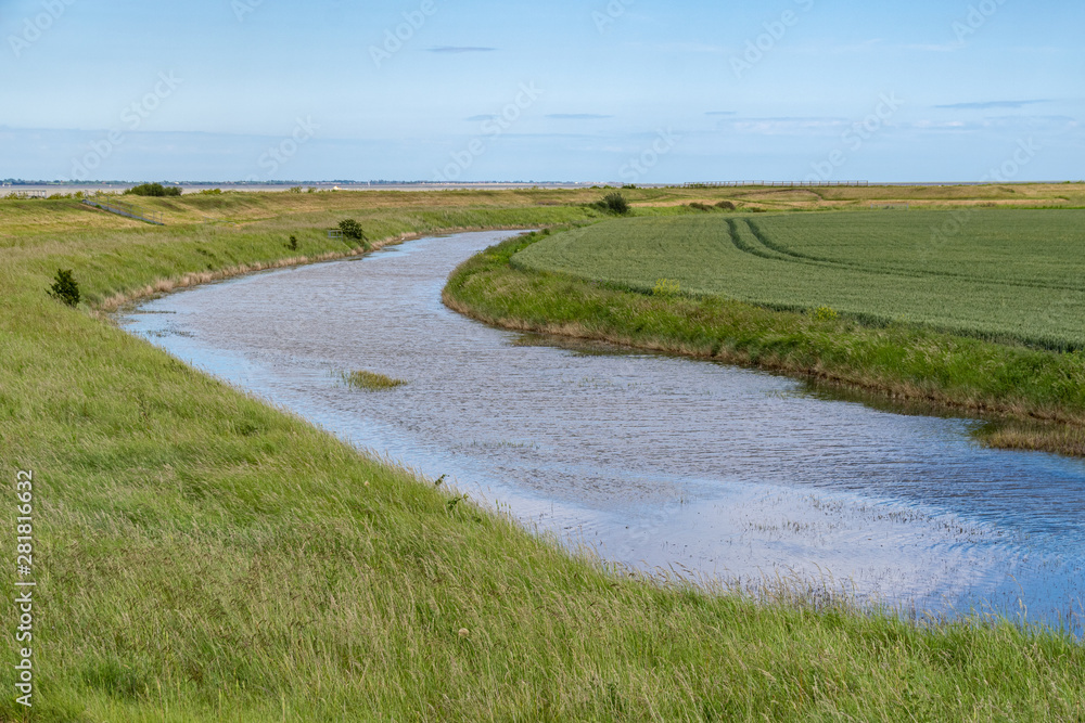 Water channels to the beach through coastal vegetation, Bradwell on Sea, Essex Water channels to the beach through coastal vegetation, Bradwell on Sea, Essex