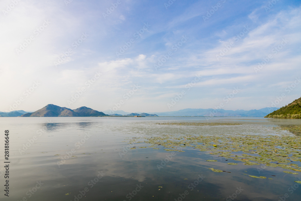 panoramic view of lake skadar with Water Lilies and mountains, National Park in Montenegro