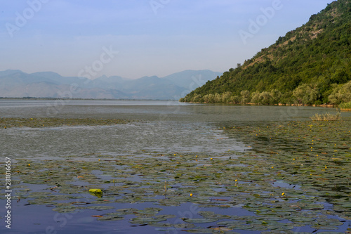panoramic view of lake skadar with Water Lilies and mountains, National Park in Montenegro