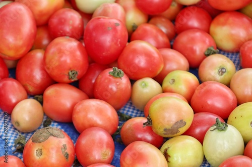 fresh tomatoes at the market