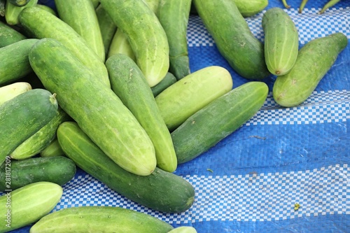 Fresh cucumber at street food