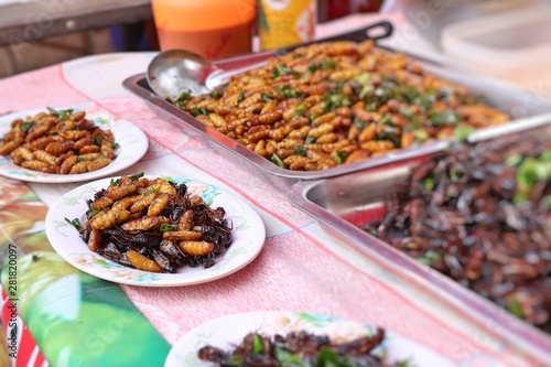 Fried insect at street food