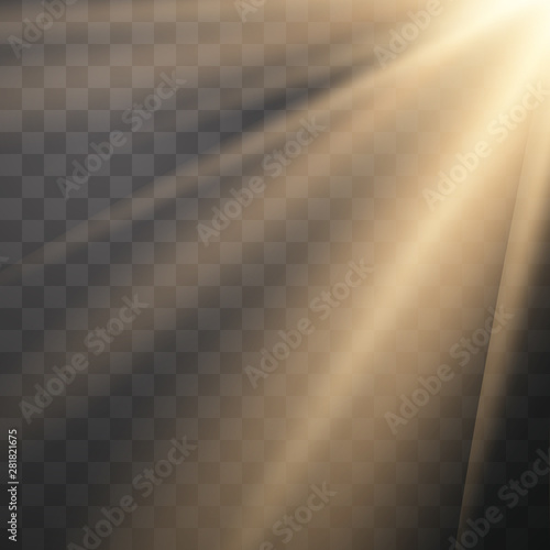 Vector transparent sunlight special