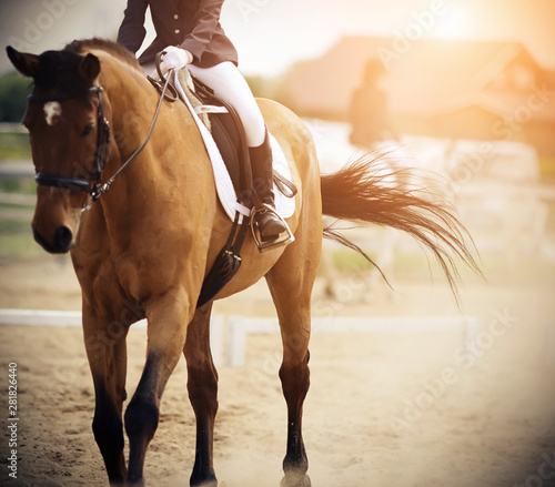 Tela The rider rides a Bay horse in a dressage competition on the sand arena, and the horse during the gallop waved his tail