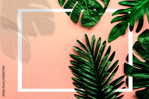 Tropical green leaf and shadow on color background