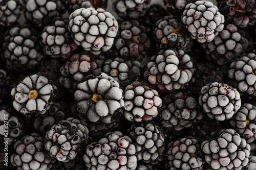 Bunch of frozen blackberries close up