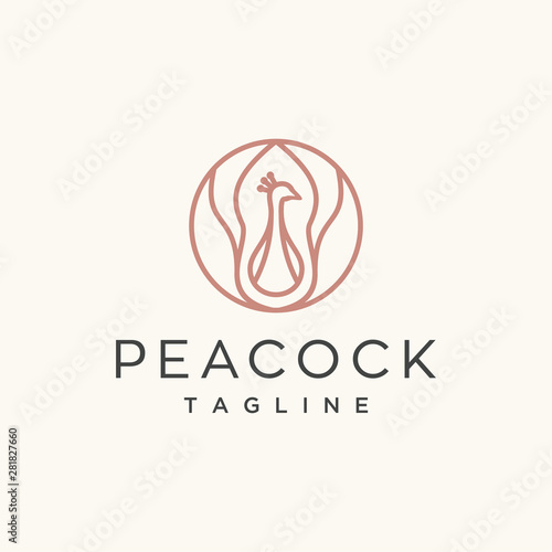 peacock line vector logo design