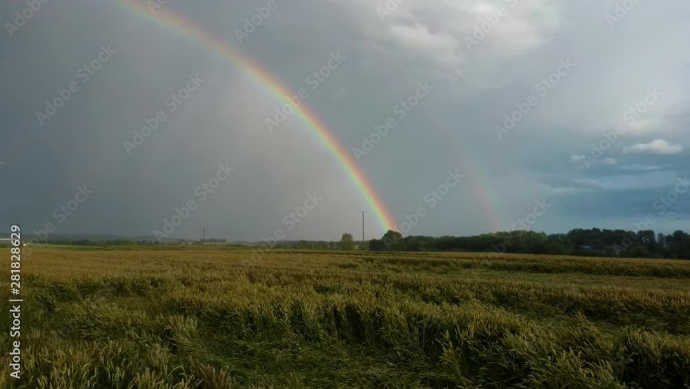 Rainbow Above Wheat Field. Flight Backward Ripe Crop Field After Rain and Colorfull Rainbow in Background Rural Countryside. Areal Dron Shoot. Rainbow Above Wheat Field. Flight Backward Ripe Crop Field After Rain and Colorfull Rainbow in Background Rural Countryside. Areal Dron Shoot.