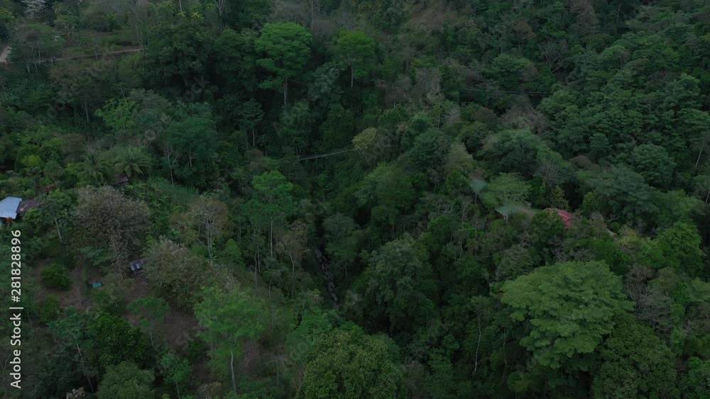 Aerial Drone View over the tropical rainforest and suspension bridge Aerial Drone View over the tropical rainforest and suspension bridge