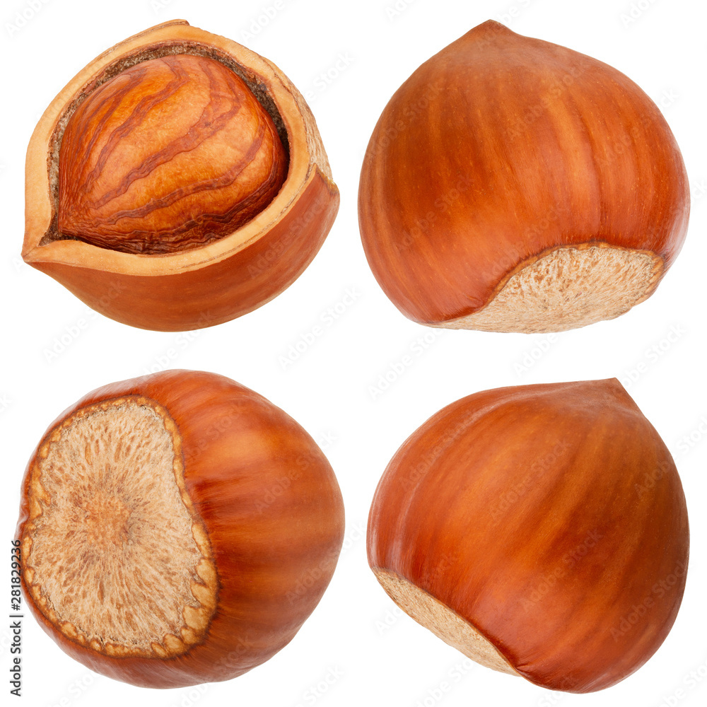 Hazelnuts isolated on white background as package design elements Hazelnuts isolated on white background as package design elements