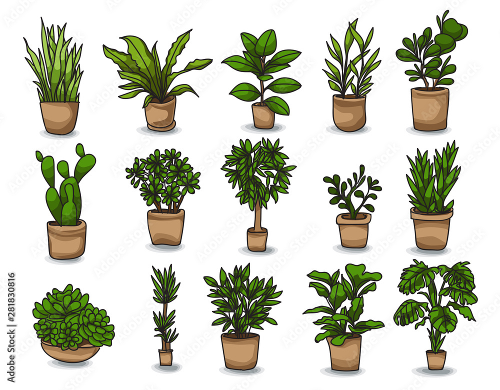 Pot plant set of hand drawn houseplants. vector illustration Pot plant set of hand drawn houseplants. vector illustration